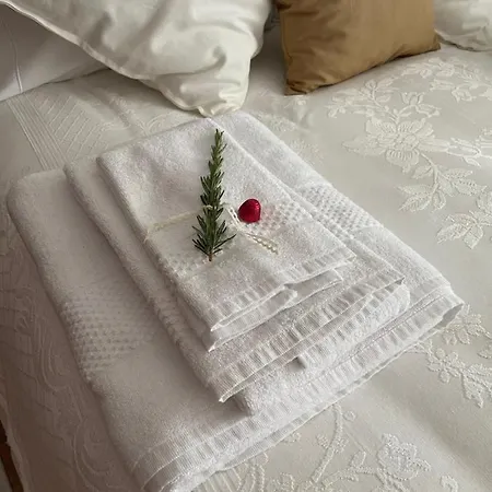 Quinta Do Carvalheiro (adults Only)