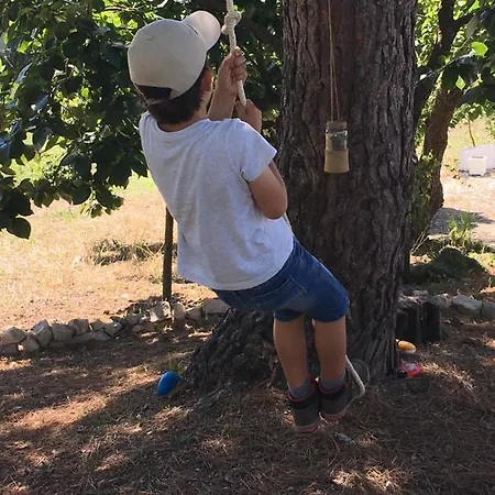 Quinta Do Carvalheiro (adults Only) Σπίτι διακοπών