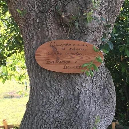 Quinta Do Carvalheiro (adults Only) Sobral de Monte Agraço